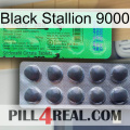 Black Stallion 9000 new04